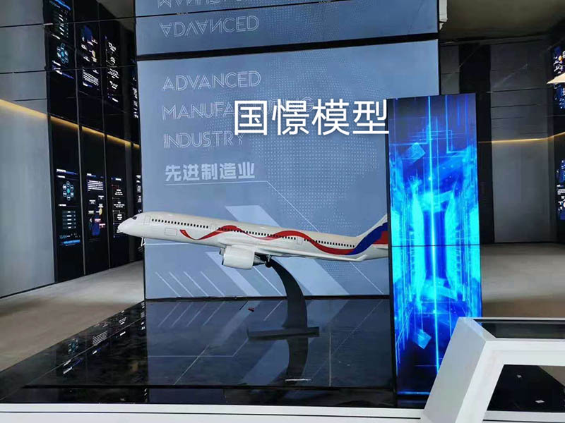 四会市飞机模型