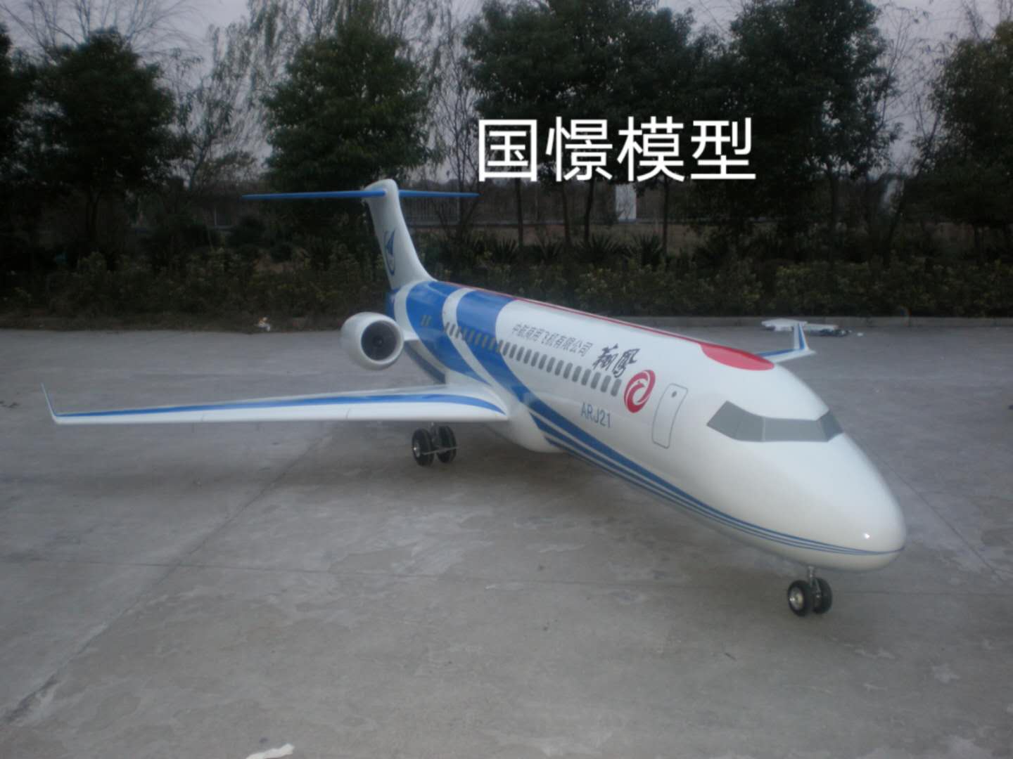 四会市飞机模型
