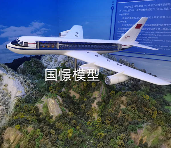 四会市飞机模型