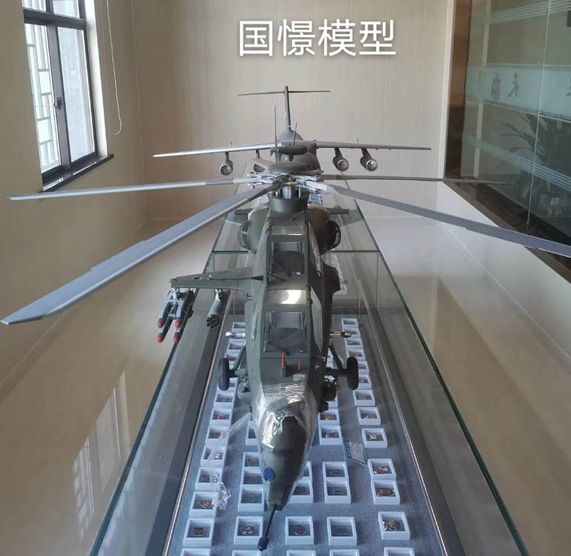 四会市飞机模型