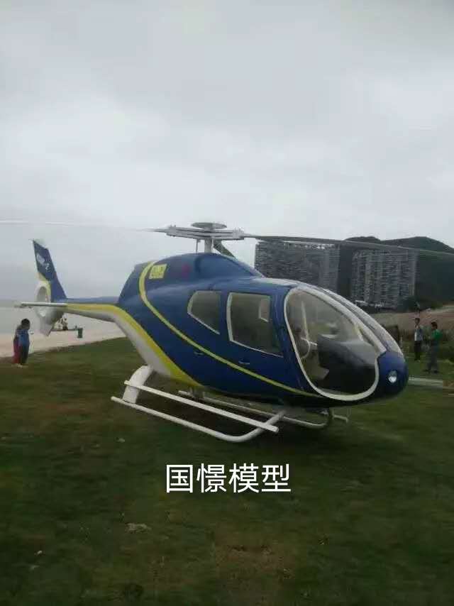 四会市飞机模型
