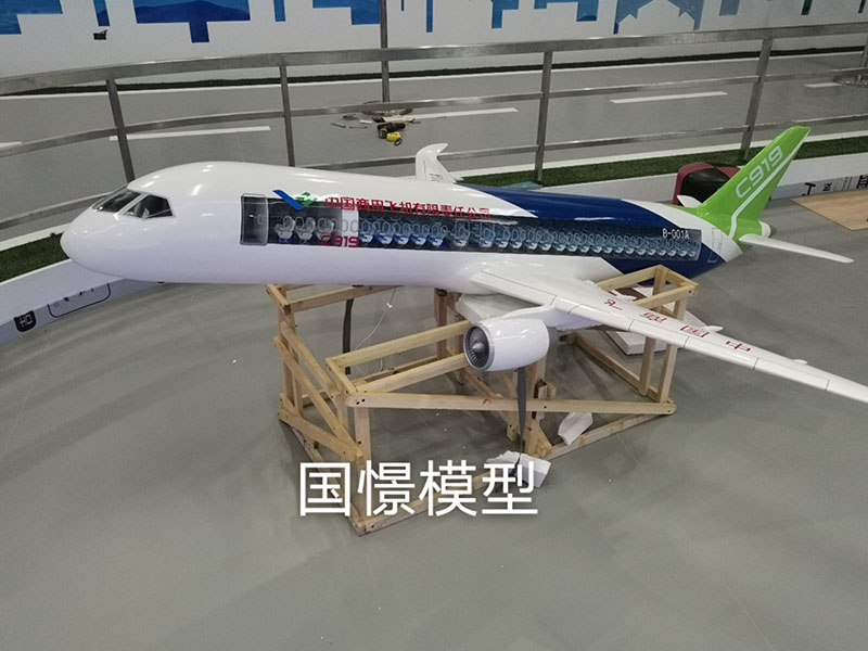 四会市飞机模型