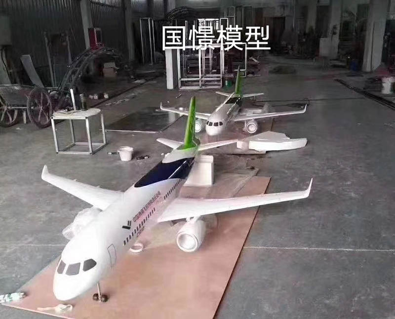 四会市飞机模型
