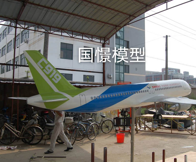 四会市飞机模型