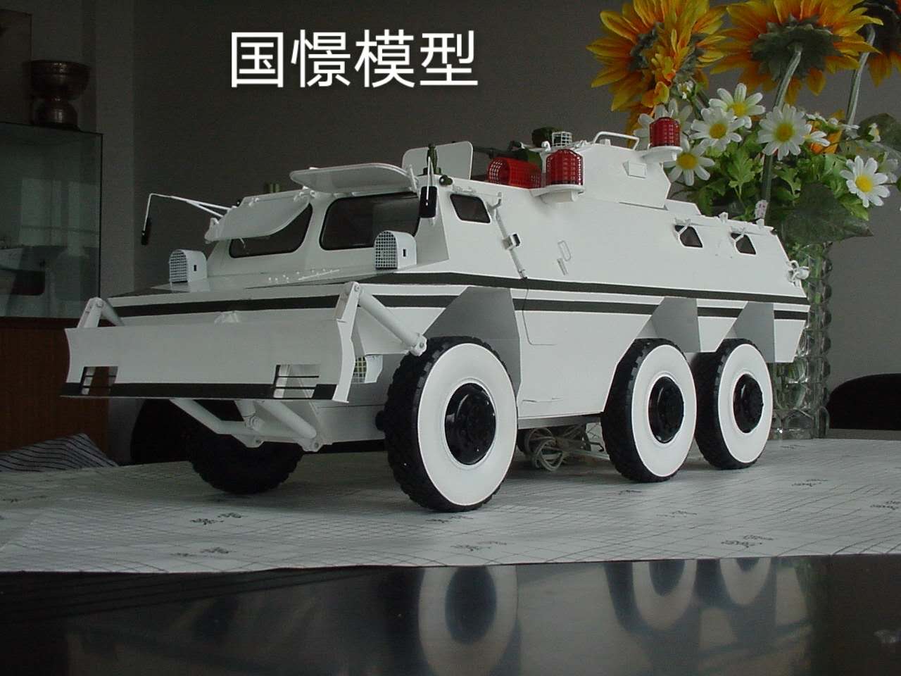 四会市军事模型