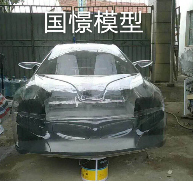 四会市透明车模型