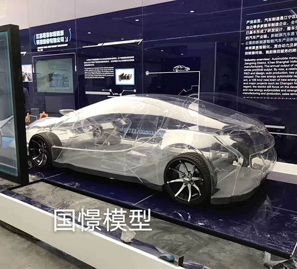 四会市透明车模型