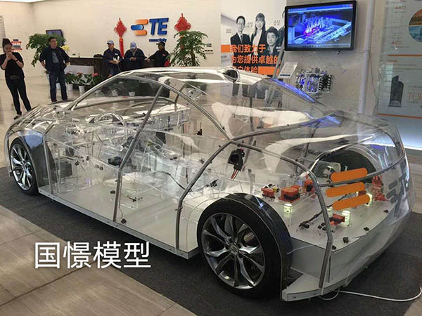 四会市透明车模型